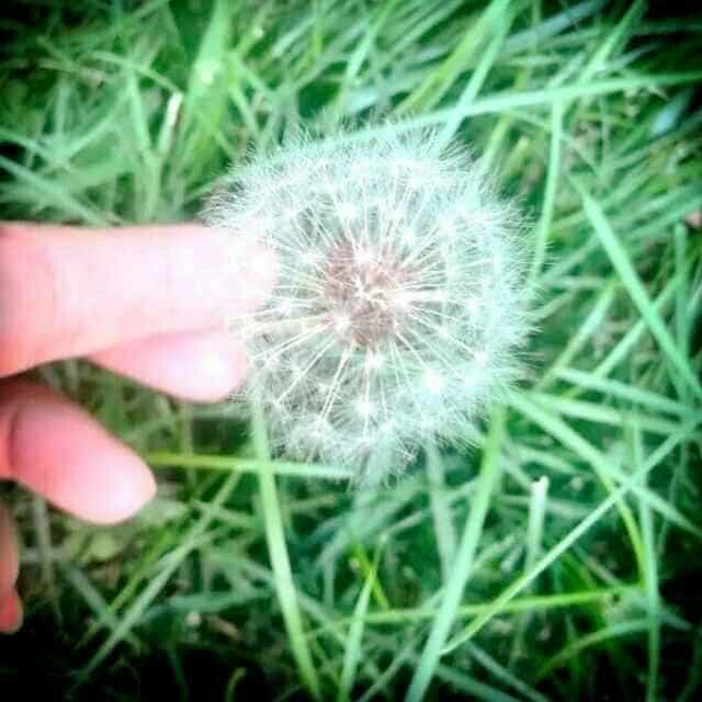 数码科技新评