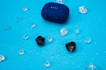 培养兴趣从娃娃抓起，BGVP Q2s耳机让孩子打开音乐之门