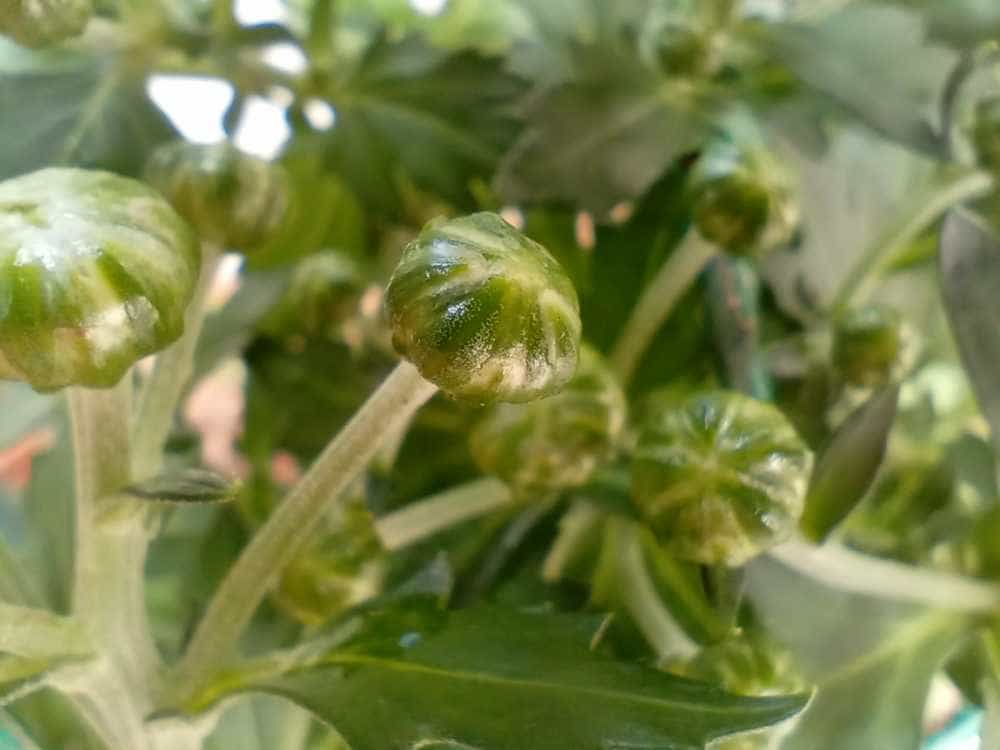 超大音量超长续航的硬核三防智能手机-AGM H5 Pro，户外工作者的完美助手