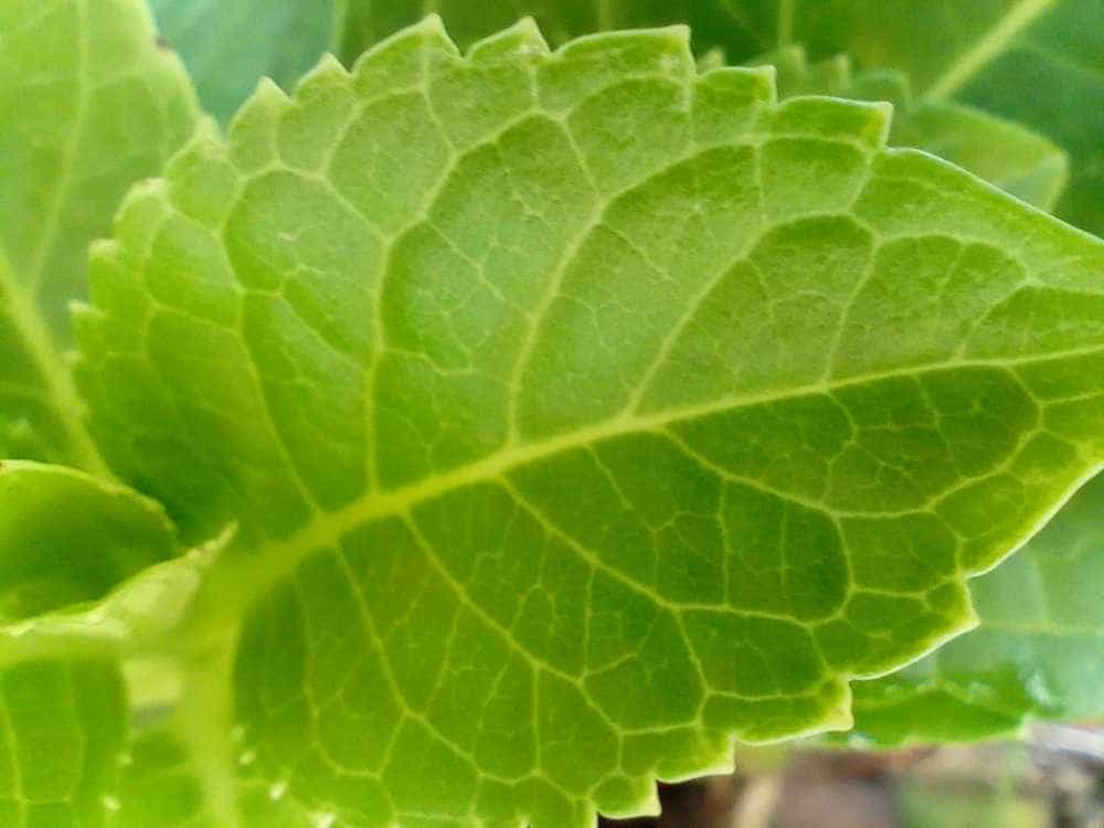 超大音量超长续航的硬核三防智能手机-AGM H5 Pro，户外工作者的完美助手