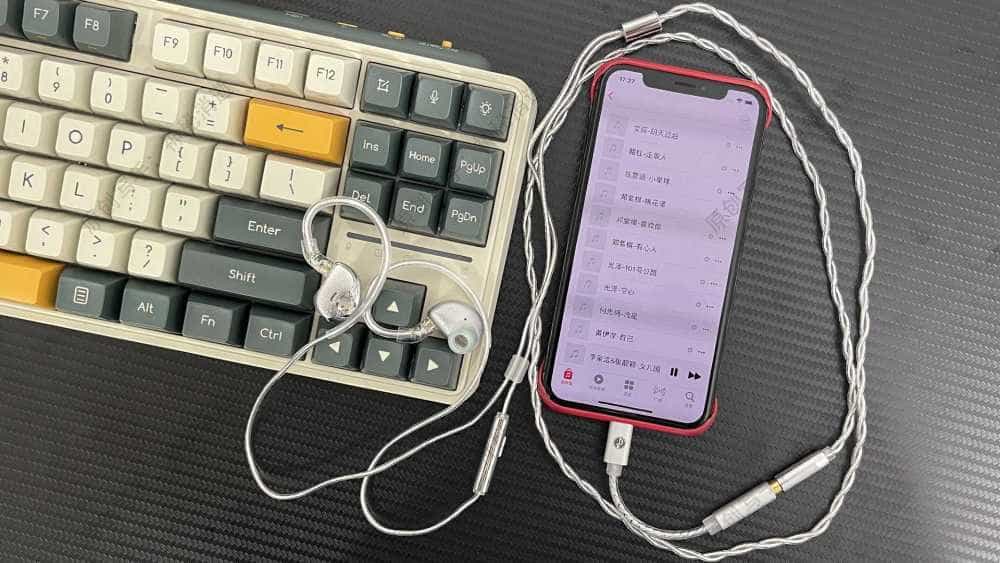 双模听感，光影国风美学-竹林鸟青鸾入耳式动圈有线耳机体验分享