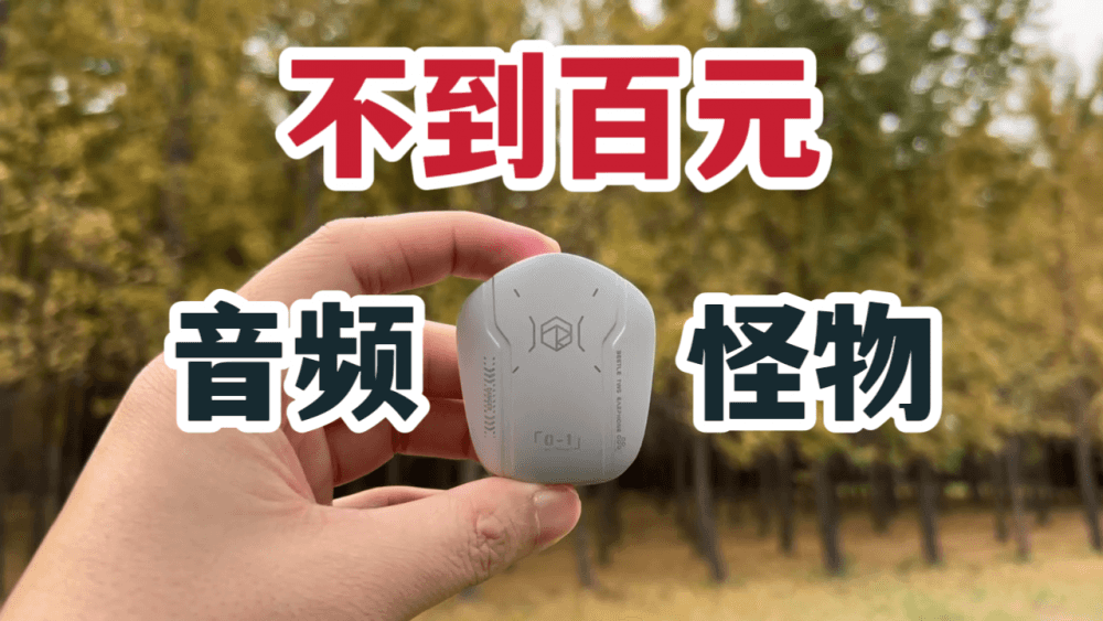 不到百元的音频怪物！弱水时砂甲虫体验！