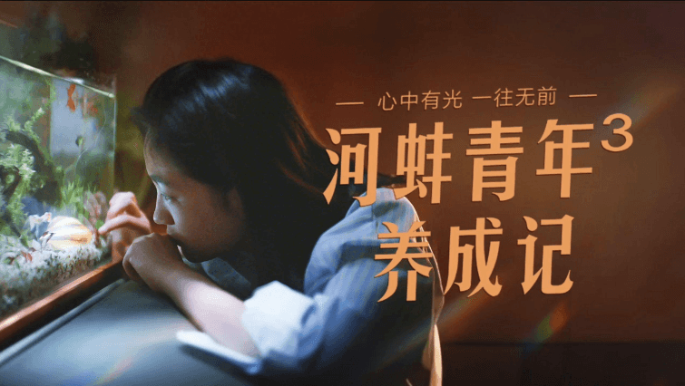 这也许就是河蚌青年的真正含义：坚定信念，一往无前！