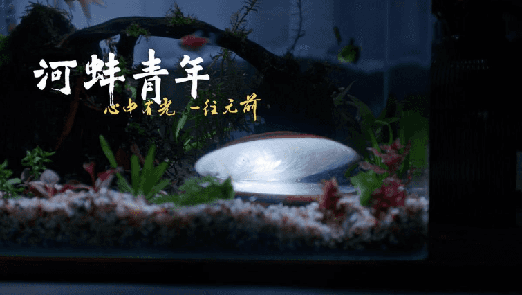 心中有光,勇往直前——揭秘什么是河蚌青年?