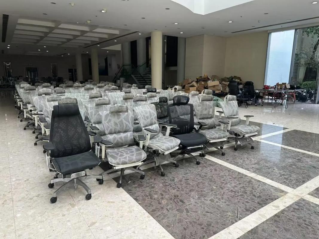 人体工学椅买哪个好？新手必读避坑榜：2025人体工学椅十大品牌排行榜